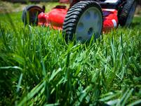 bigstock-lawnmowing-8975140-s4x3-jpg-rend-hgtvcom-1280-960_1