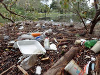 blogger-image-1079892604_1