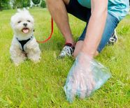 shutterstock-429281740_1