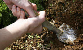 soil-sample-testing1