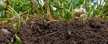 soil1-1400×933