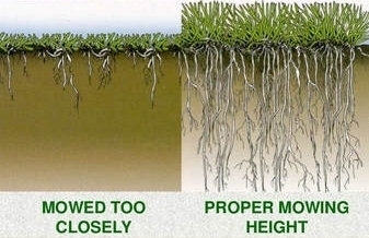 turf-and-water-9-638